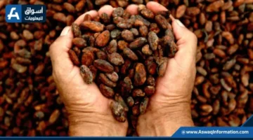 ارتفاع أسعار قهوة أرابيكا 6.5% خلال أسبوع مع استمرار تراجع المخزونات العالمية